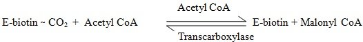 carboxylation reaction